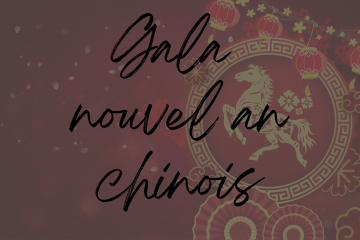 Gala du Nouvel an chinois